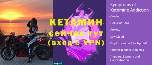 СК Вязьма