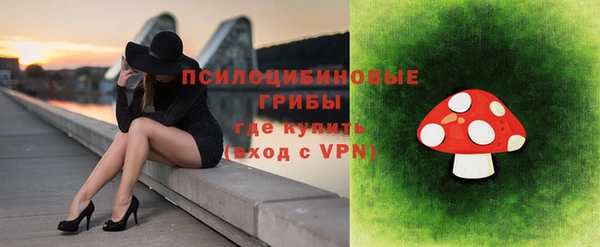СК Вязьма