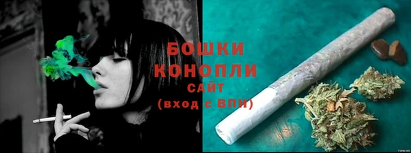 СК Вязьма