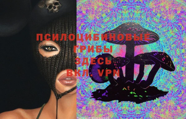 круглые Вяземский