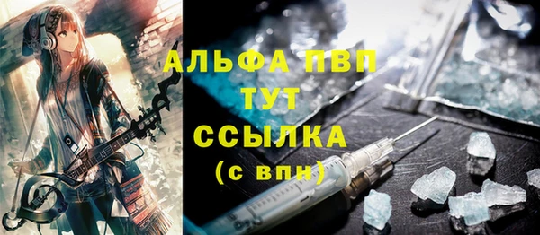 крисы Горняк