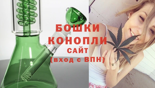 крисы Горняк