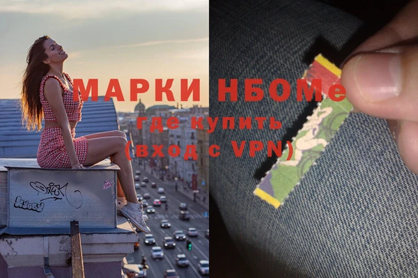 крисы Горняк