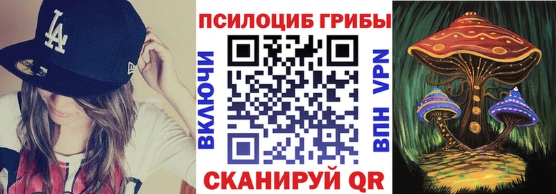 kraken ССЫЛКА  Мезень  Галлюциногенные грибы GOLDEN TEACHER 
